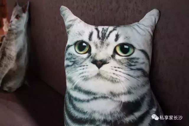 论“在餐厅一边看mao片，一边撸”，是一种什么样的体验？