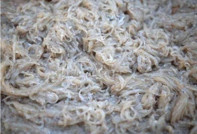 带女朋友回娘家吃辣条,带女友回广西吃水果