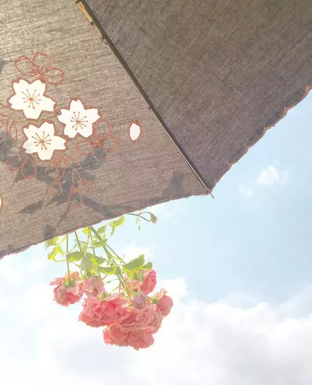 第1组｜玩转手机摄影思锐光学年度手机摄影大赛海选入围