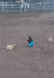 女朋友手势含义,女朋友伸手指是什么意思