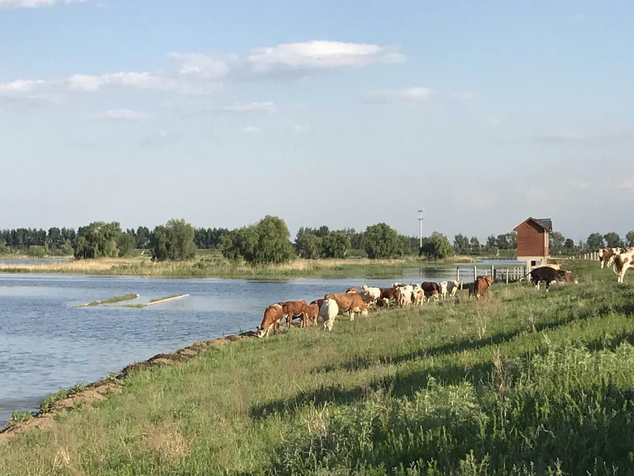 中国半农俱乐部首聚沈北，并将建造‘半农理想间’民宿