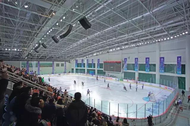 梅洪元丝路花谷孕育寒地建筑第十三届全国冬季运动会冰上运动中心