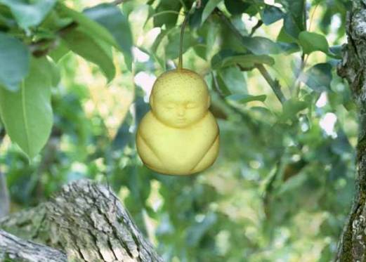 红珊瑚有多珍贵,红珊瑚珍贵么