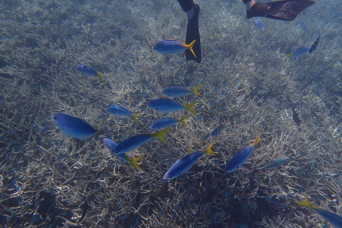 带着思念去海边,带着思念期待下一次再见