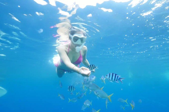 带着思念去海边,带着思念期待下一次再见