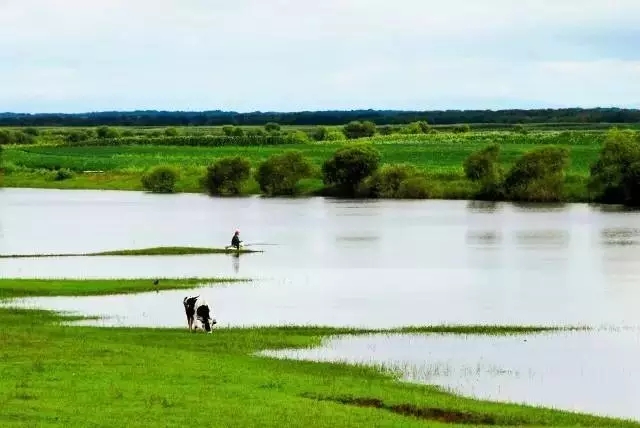 澳洲妈妈买什么奶粉,澳洲妈妈都选哪款婴儿奶粉