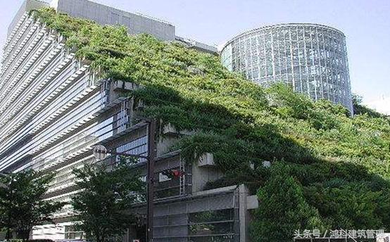 绿色建筑材料的发展现状及展望,绿色建筑的现状和发展趋势论文