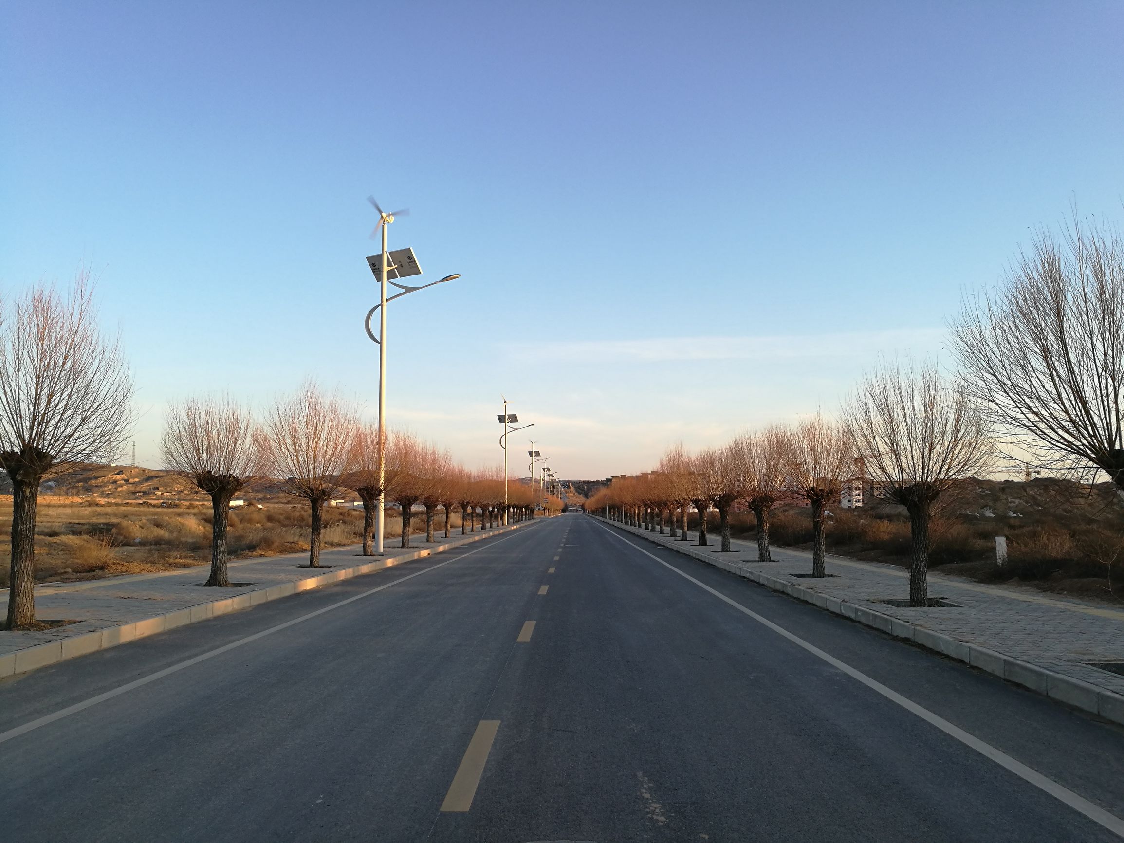 生命的特征包括四大特征,生命的特征政治