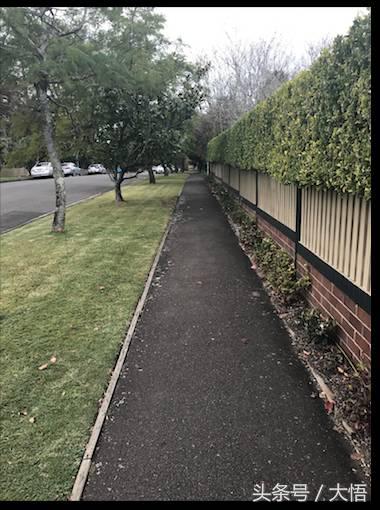 悉尼gordon怎么样,悉尼富人区huntershill