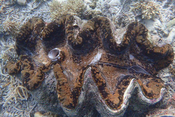 带着思念去海边,带着思念期待下一次再见