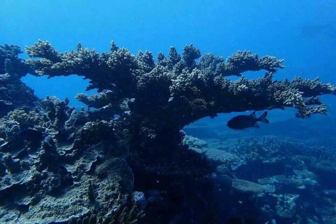 带着思念去海边,带着思念期待下一次再见