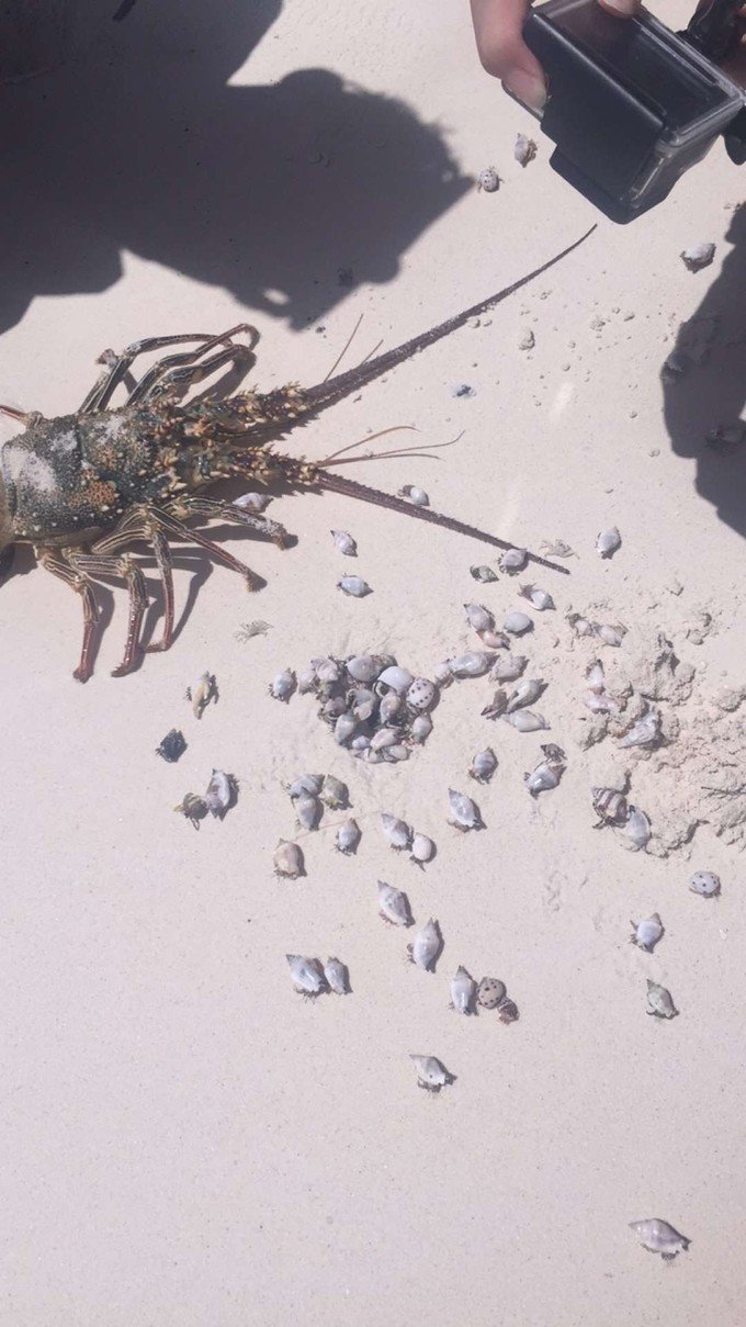 带着思念去海边,带着思念期待下一次再见