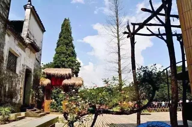 欢乐颂风景片段,欢乐颂风景图