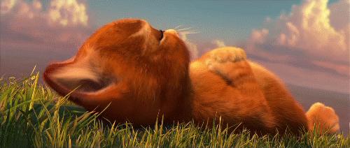 gif电影合集,gif电影图解分解