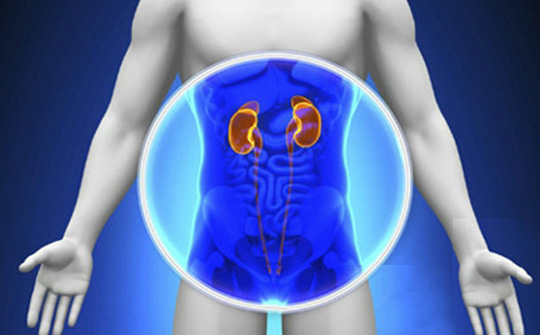 肾炎治愈后好复发这样做能防治