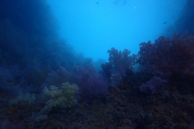 带着思念去海边,带着思念期待下一次再见