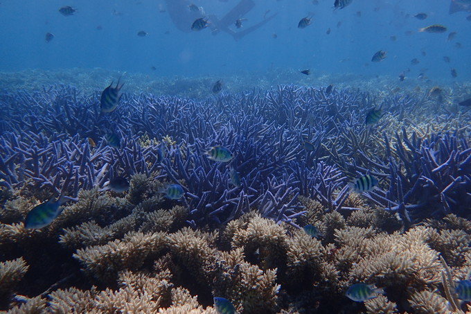 带着思念去海边,带着思念期待下一次再见
