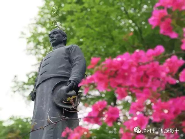 手机拍大片推荐,手机拍出来的大片欣赏