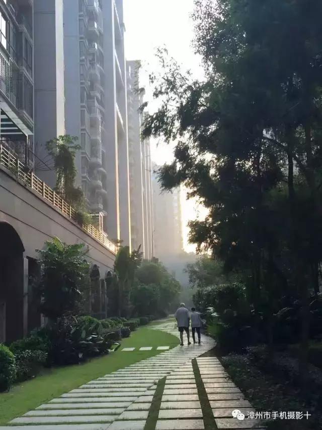 手机拍大片推荐,手机拍出来的大片欣赏