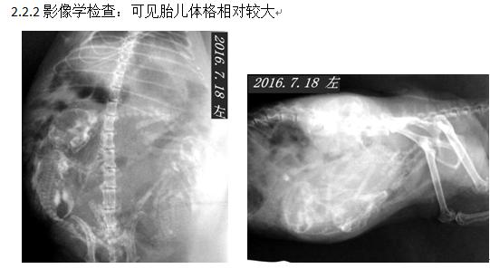 龙猫难产完整版,龙猫难产孩子拽出来