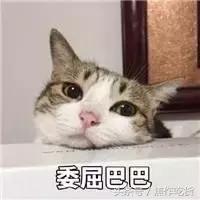 男朋友问我为什么这么美怎么回,男朋友问你怎么变美了