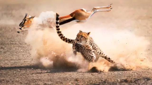 你我本无缘分，全靠“生态圈”死撑