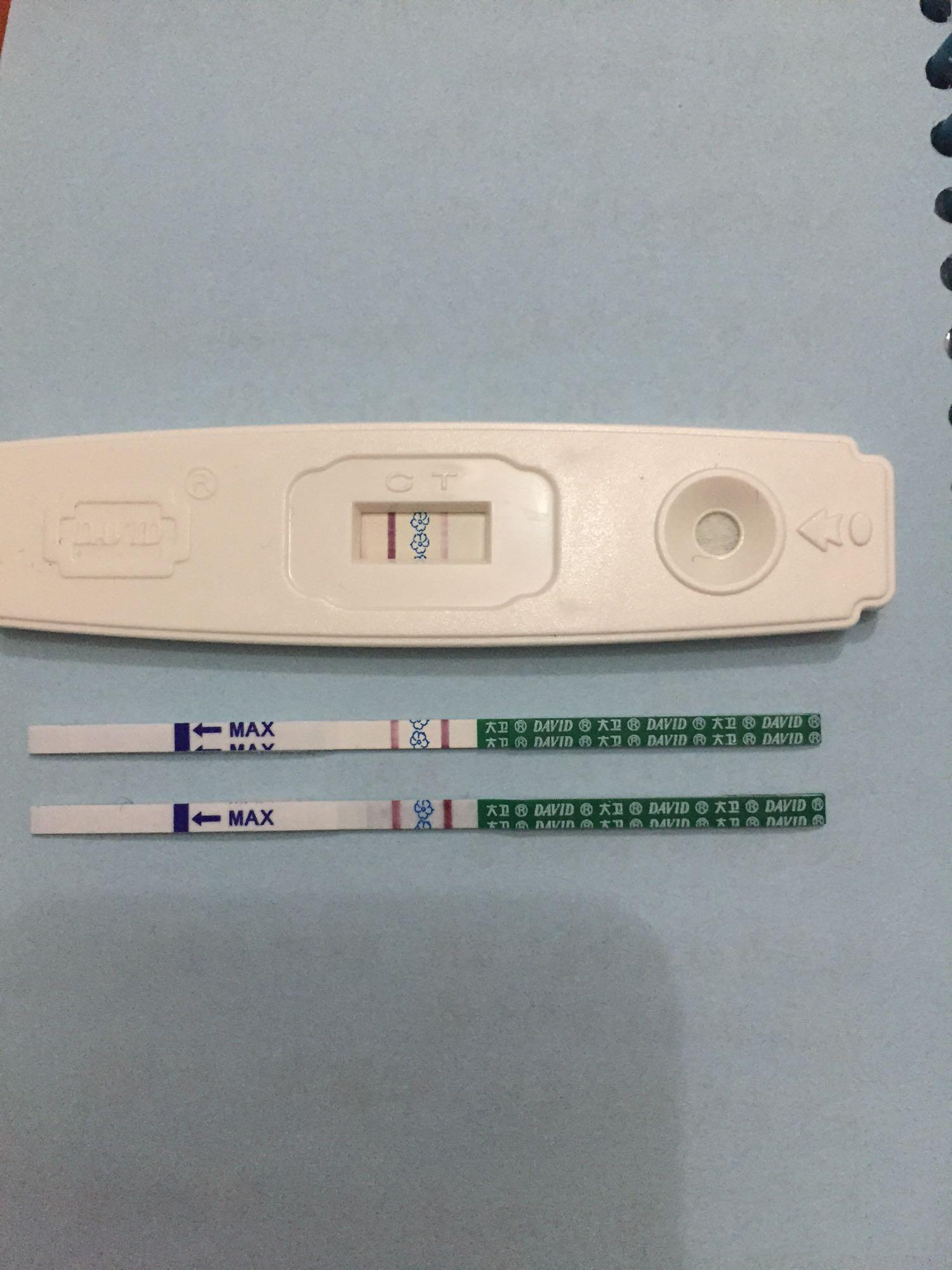 老公弱精畸形，虽说质量不高，可架不住数量多，三个月成功双杆啦