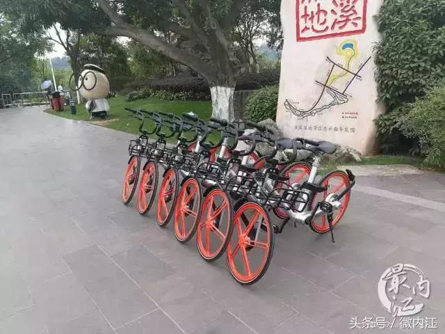 独家：高考期间，大内江的摩拜单车免费骑！
