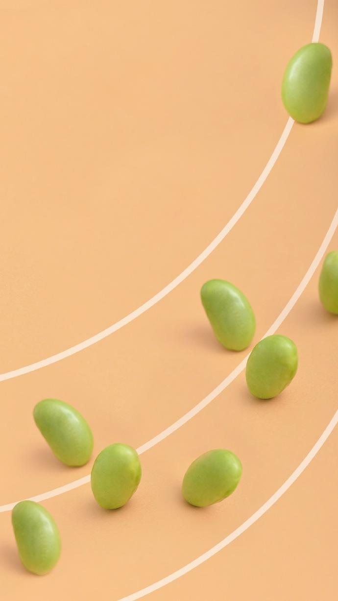 手机壁纸绿色简约干净有文字,绿色食物壁纸