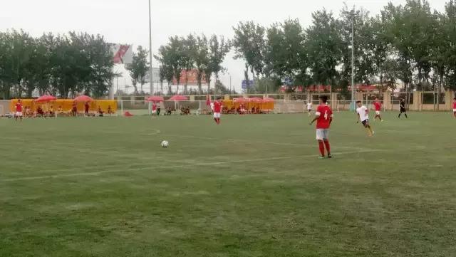 灞变笢椴佽兘娉板北vs闈掑矝涓兘2021,2013璧涘闈掑矝涓兘vs灞变笢椴佽兘鎵撴灦