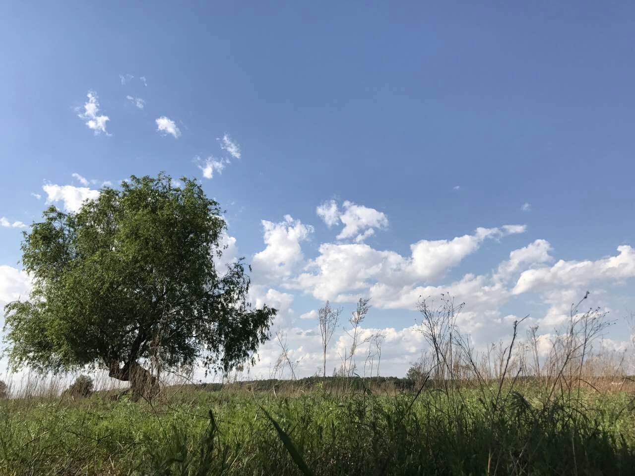 中国半农俱乐部首聚沈北，并将建造‘半农理想间’民宿