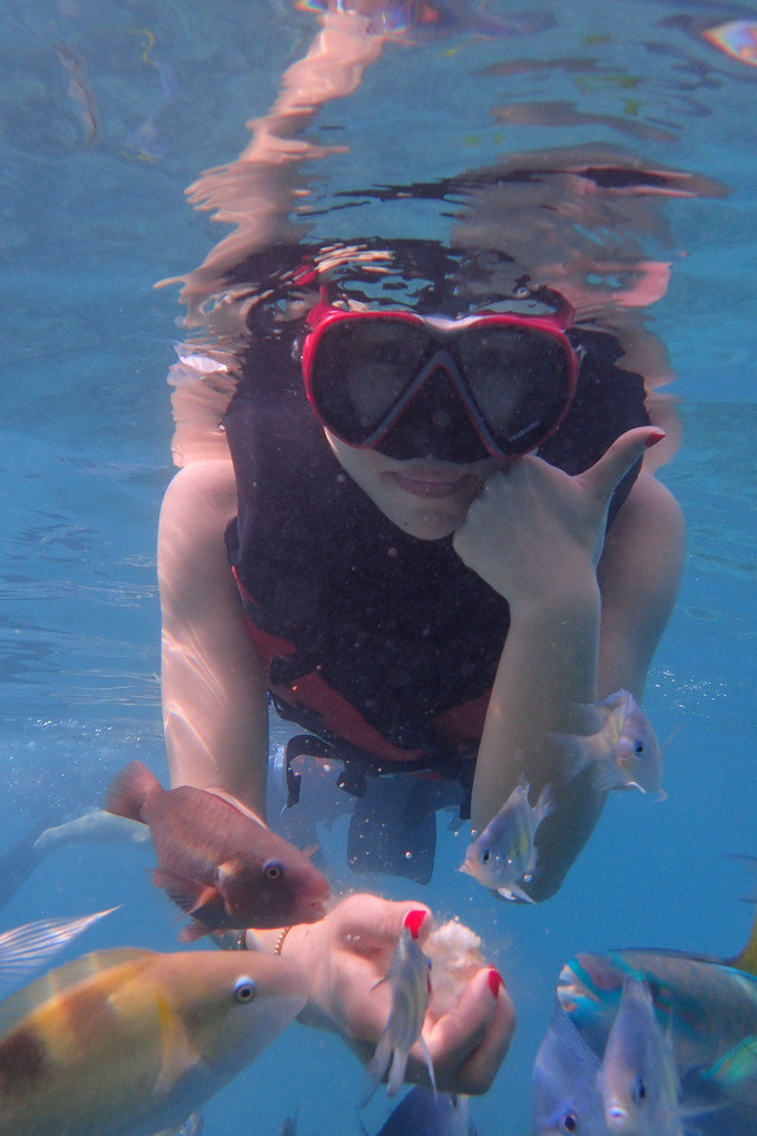 带着思念去海边,带着思念期待下一次再见