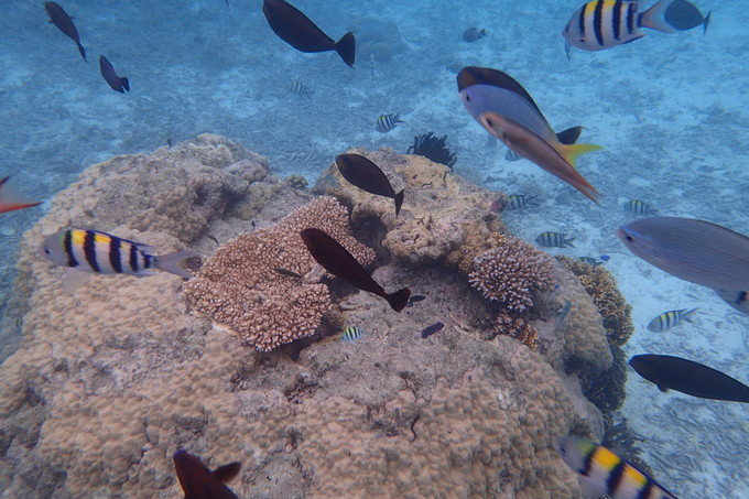 带着思念去海边,带着思念期待下一次再见