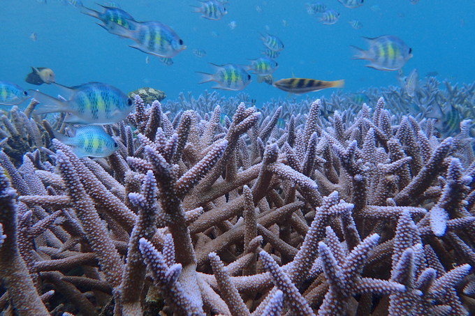 带着思念去海边,带着思念期待下一次再见