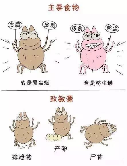 夏季宝宝防蚊虫方法,宝宝被螨虫叮咬怎么办最好