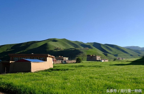 成都租车到九寨沟需要多少钱,从成都租车去若尔盖多少钱一天