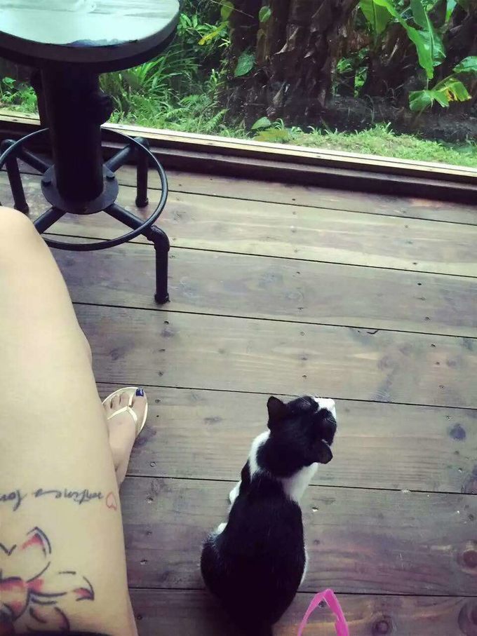 带着思念去海边,带着思念期待下一次再见