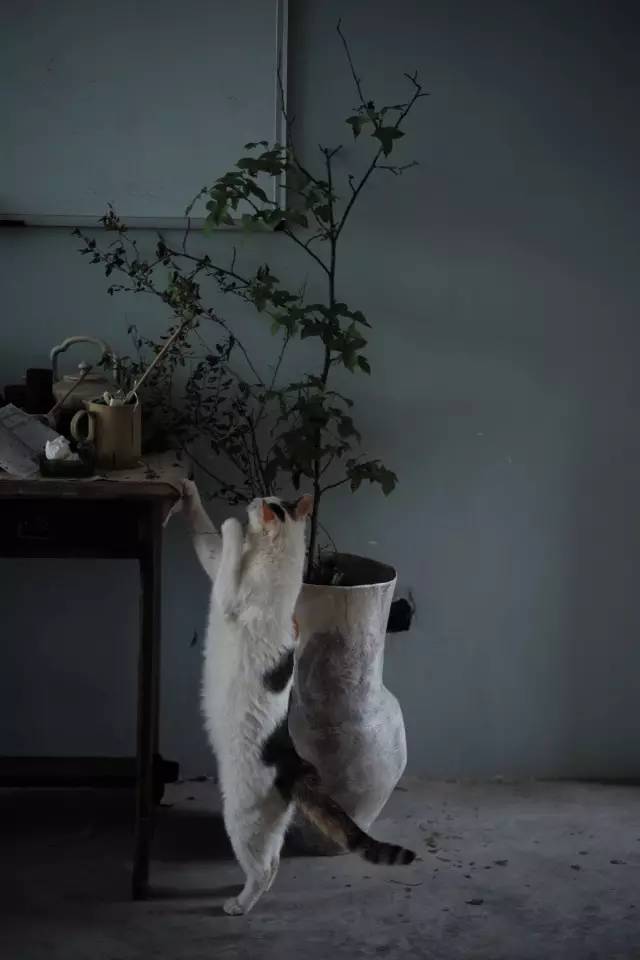 快乐就是无拘无束,快乐就是肆意妄为