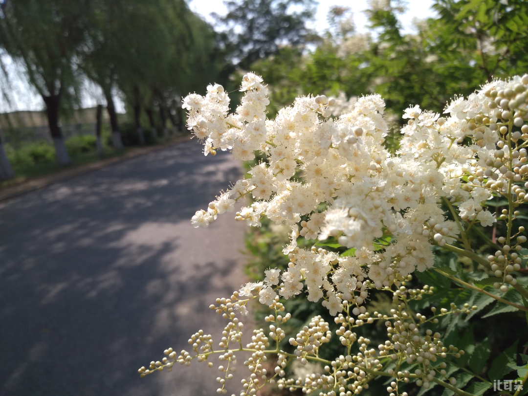 测评360n5,360n5s手机全评测