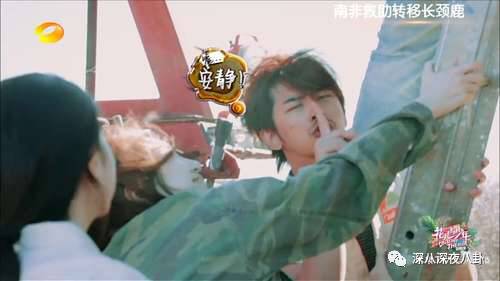 陈柏霖颜值花儿与少年,陈柏霖个人简介