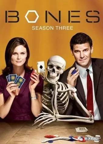 悬疑烧脑法医电视剧国产剧,好看的法医剧推荐