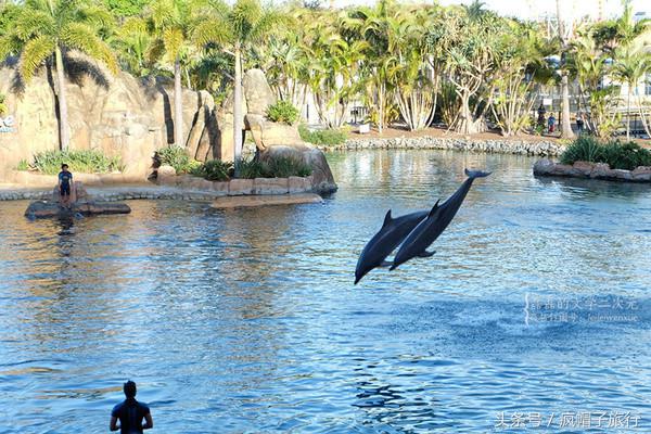 36个必须知道的澳洲旅行贴士,澳洲昆士兰州自由行攻略