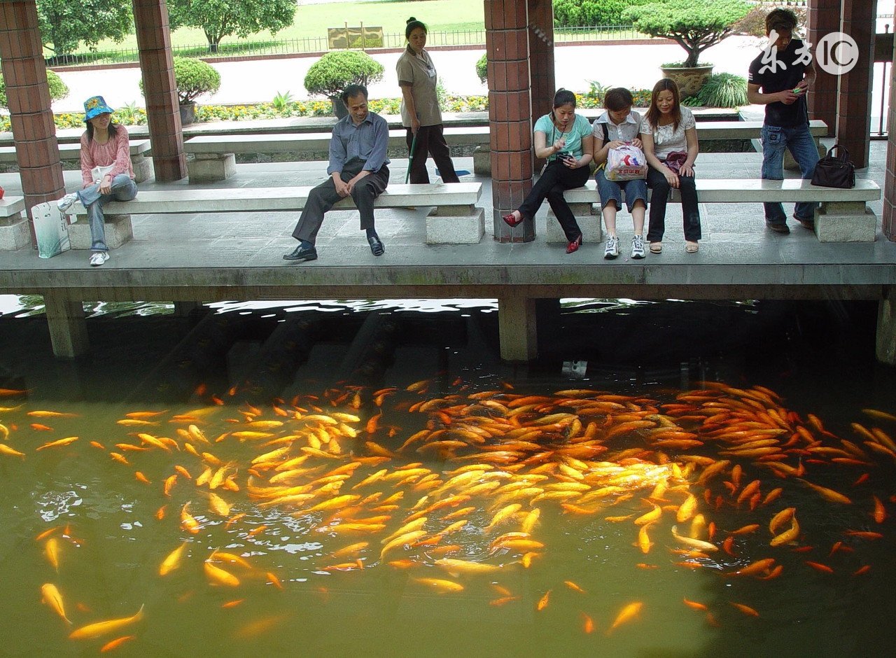 饵料总是散开怎么办,饵料入水后为什么散开了