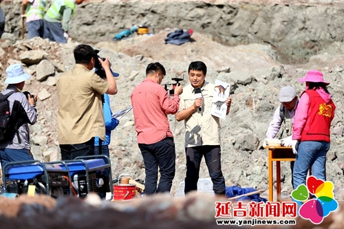 恐龙挖掘现场直播,恐龙化石发掘现场直播