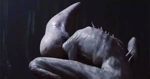 异形契约详细解析,观看异形契约