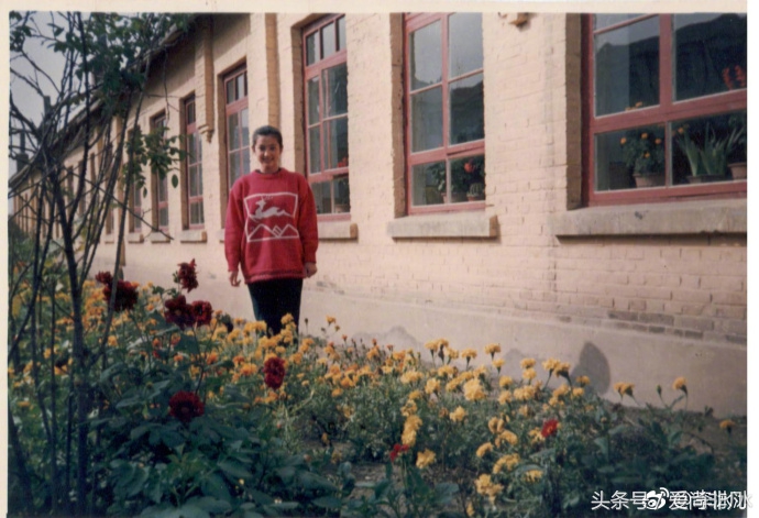 李冰冰大片衣着秀身段,45岁李冰冰一身粉装重回25岁