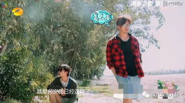 陈柏霖颜值花儿与少年,陈柏霖个人简介