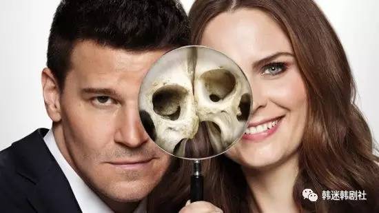 悬疑烧脑法医电视剧国产剧,好看的法医剧推荐