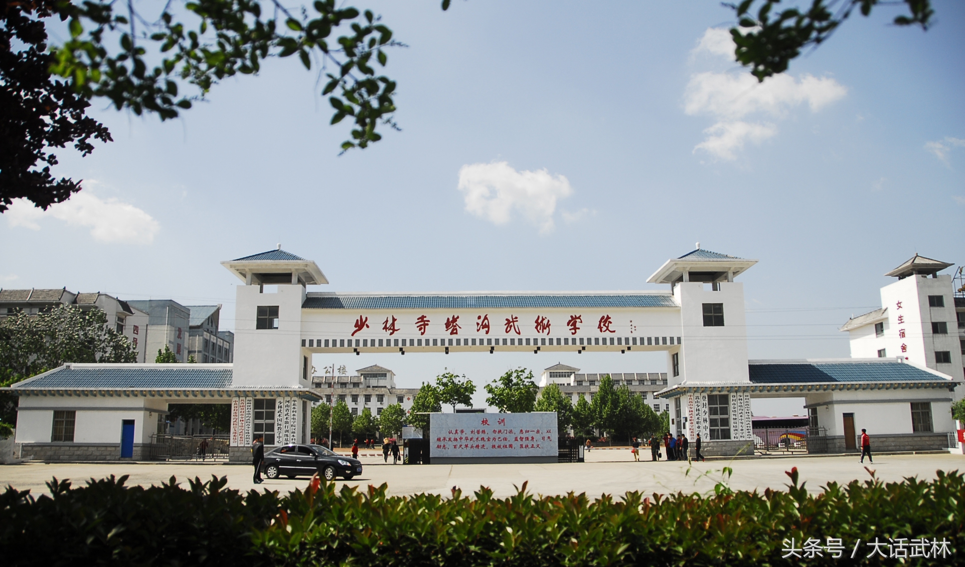 武校小孩子训练日常,武校孩子的照片