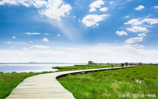 成都租车到九寨沟需要多少钱,从成都租车去若尔盖多少钱一天